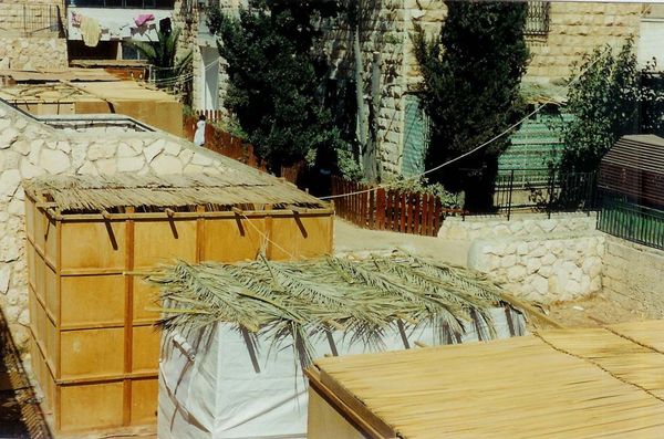 A Sukkah of Peace
