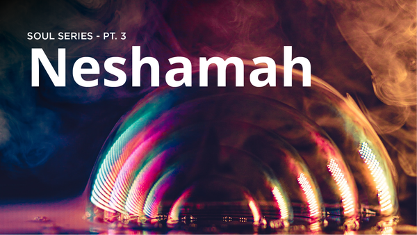 Neshamah - Soul Series pt. 3