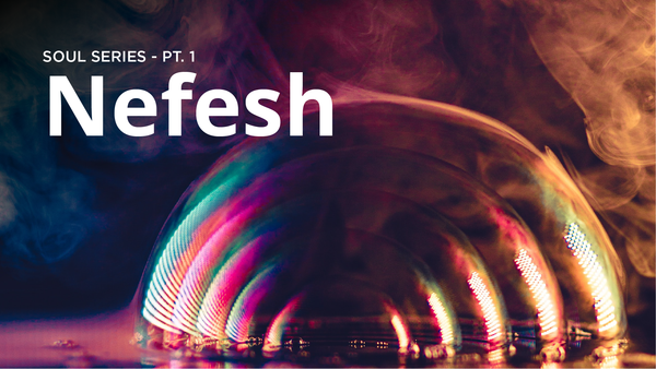 The Nefesh - Soul Series pt. 1