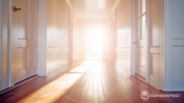 What Does the Bible Say About the Afterlife?