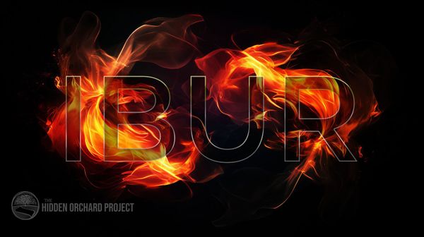 Ibur: The Entanglement of the Soul in 1 John