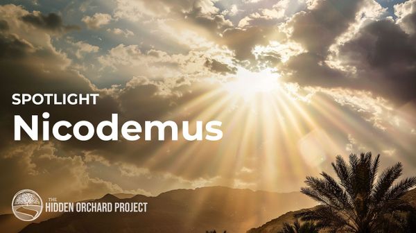 Spotlight: Nicodemus. Nakdimon ben Gurion.