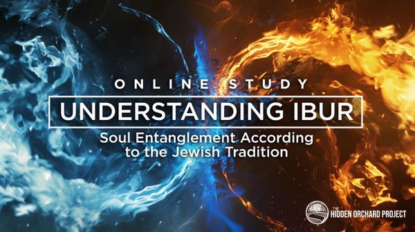 Video Replay: Understanding Ibur Online Study Session