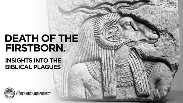 The Death of the Firstborn