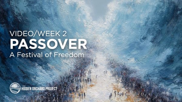 Video: Passover, a Festival of Freedom | Part 2