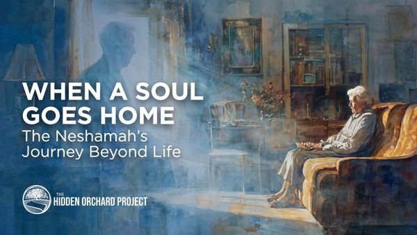 When a Soul Goes Home: The Neshamah’s Journey Beyond Life