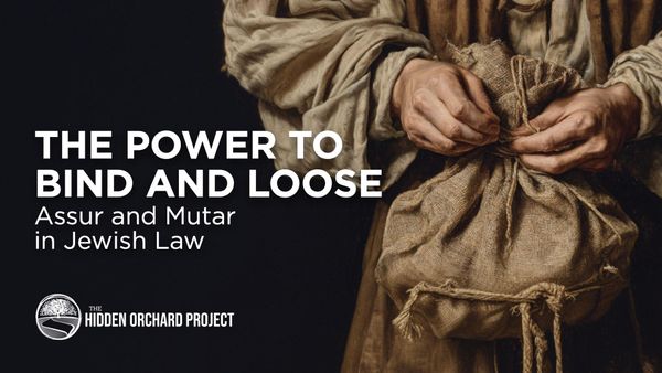 The Power to Bind and Loose Assur and Mutar in Jewish Law