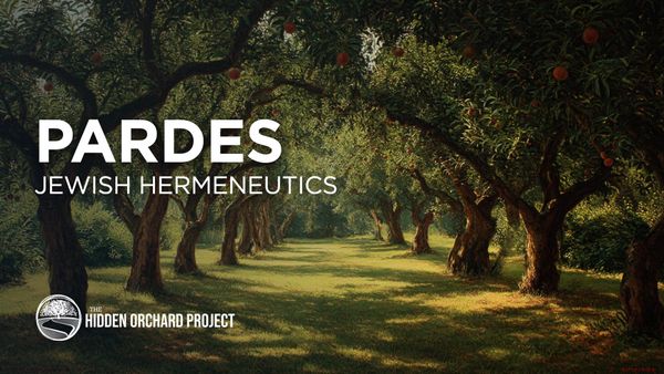 PaRDeS - Jewish Hermeneutics
