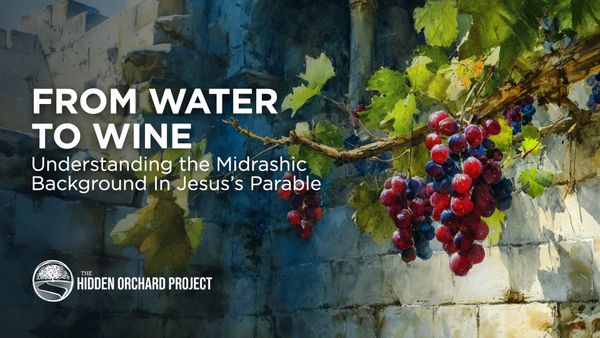 From Water to Wine