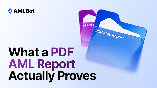 PDF AML Report: When You Need It and What It Can Prove
