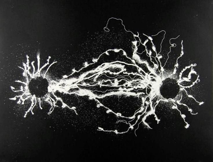 Neural Entropy and the Stability of Conscious Experience: Exploring Carhart-Harris's entropic brain hypothesis alongside predictive-processing accounts of brain-state stability and flexibility.