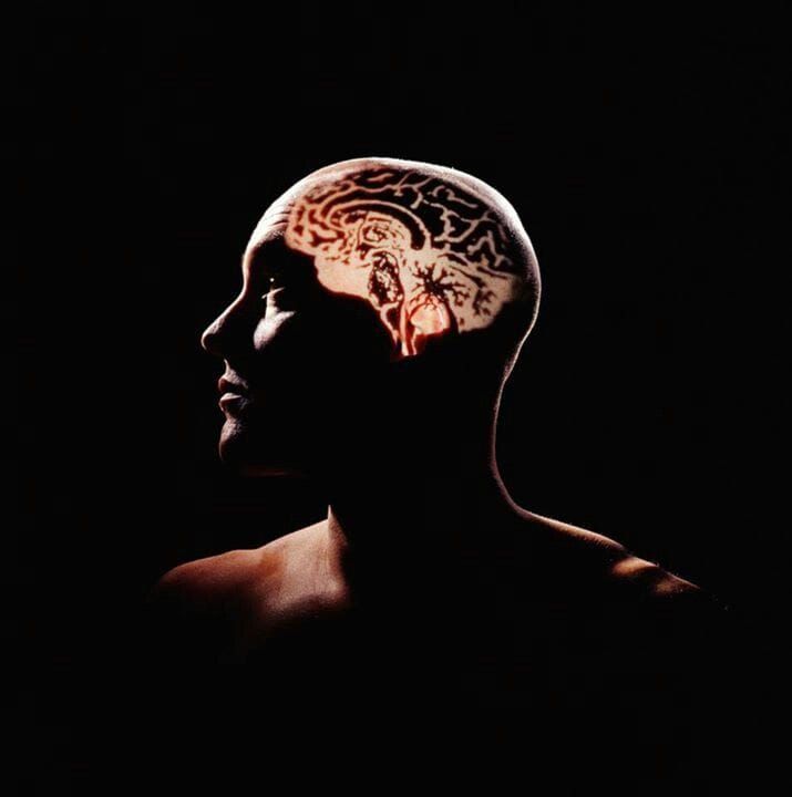 The Architecture of Conscious States: How predictive processing, neural entropy, and active inference might offer complementary descriptions of transitions between conscious states