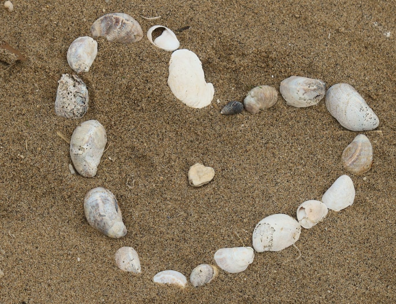 white stones on brown sand