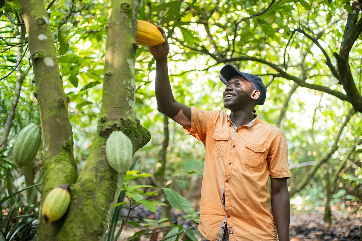 Image shows cocoa farmer Kindo Yacouba from Fairtrade's COOPAPIG co-operative in Cote d'Ivoire