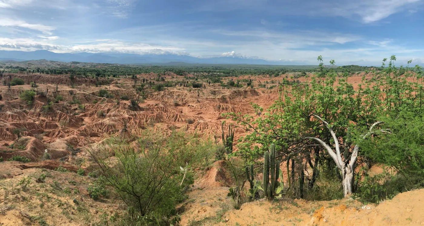 Image shows a Tropical Dry Forest and desert in Colombia.
