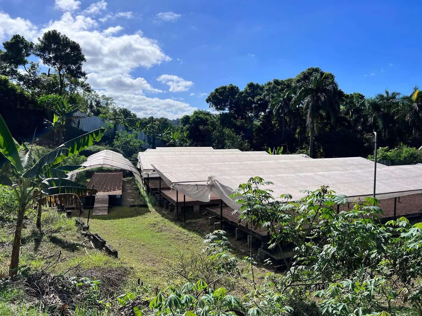 Image shows The YACAO organic cocoa bean processing farm in the Dominican Republic.