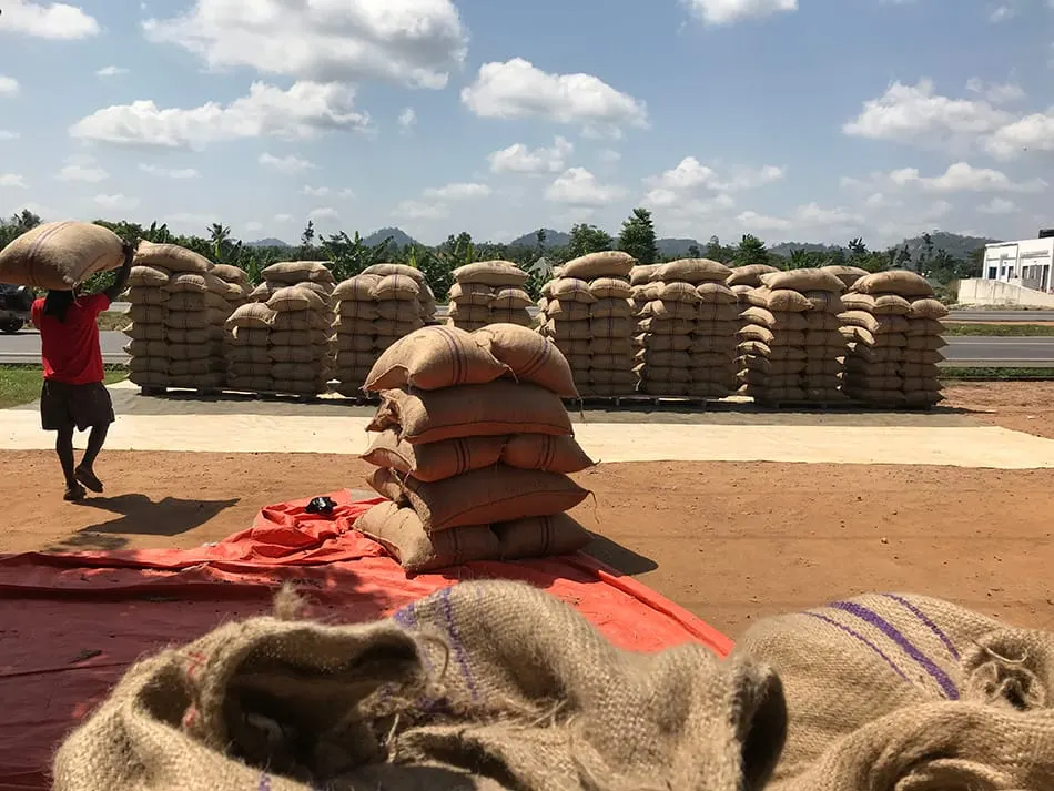 Image shows cocoa being stacked at side of the road in Ghana