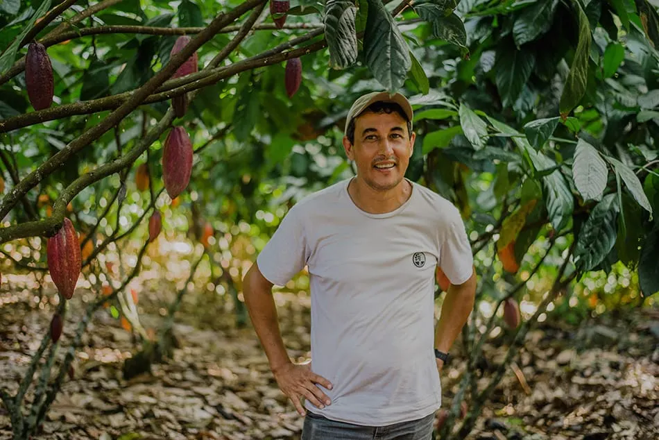 Image shows a team member from CocoaAction Brasil checking on a cocoa farm.