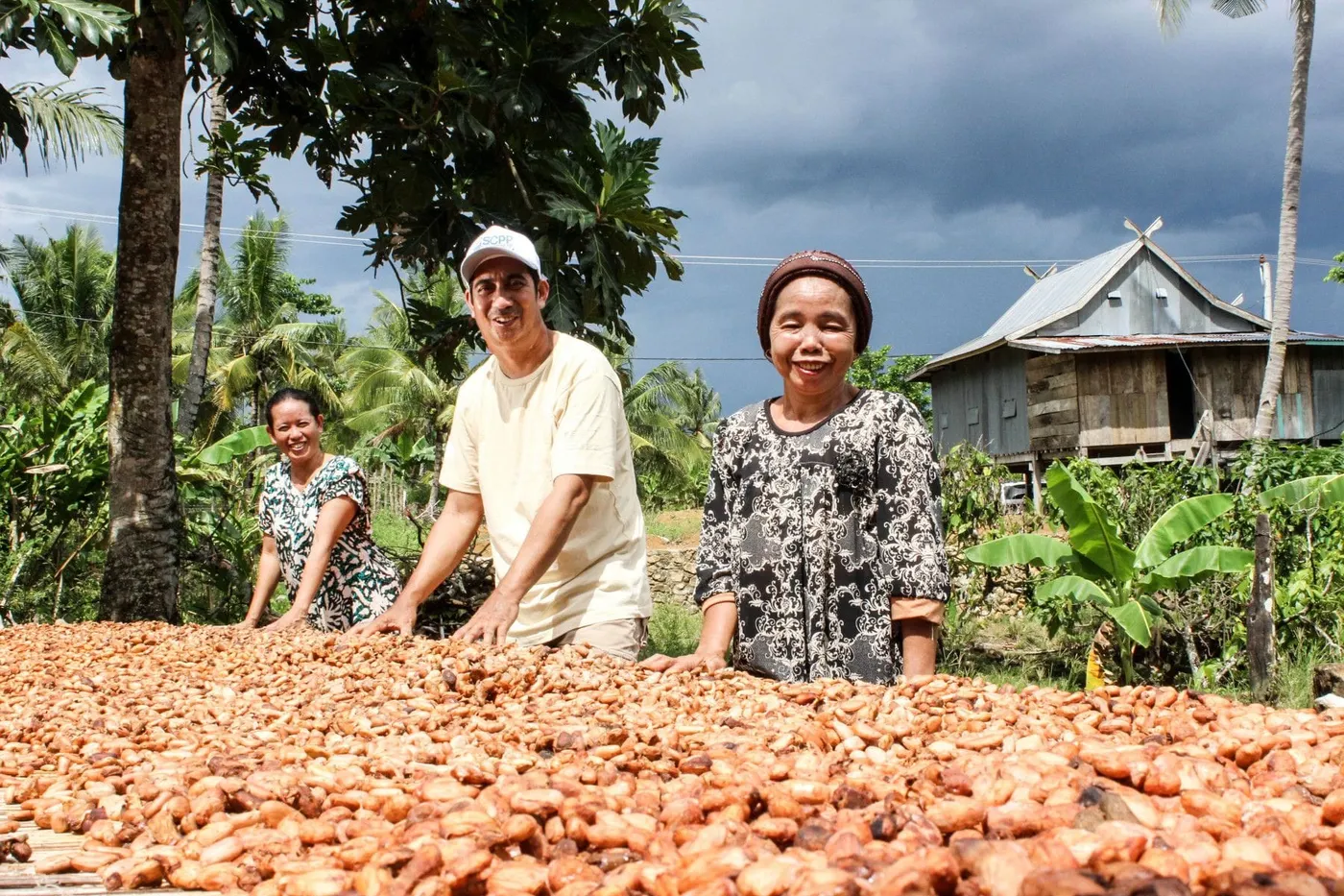 Image shows cocoa farmers drying beans in Indonesia.