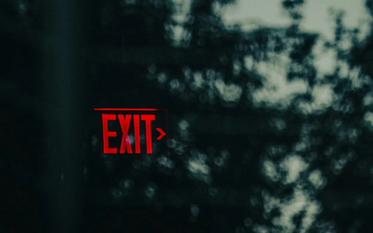 Image shows an exit sign in neon against a forest background