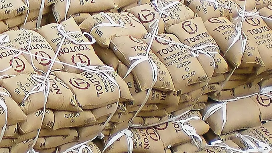 Image shows sacks of cocoa stacked with Touton label