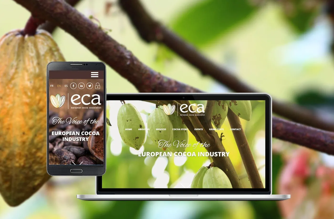 Preview: European Cocoa Association Forum 2025