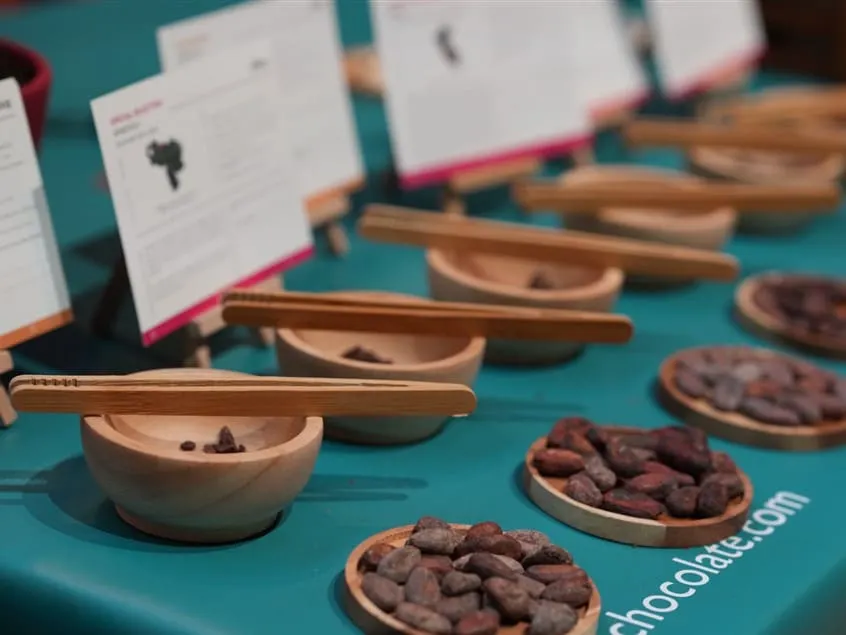 Image shows cocoa nibs samples at Chocoa 2024