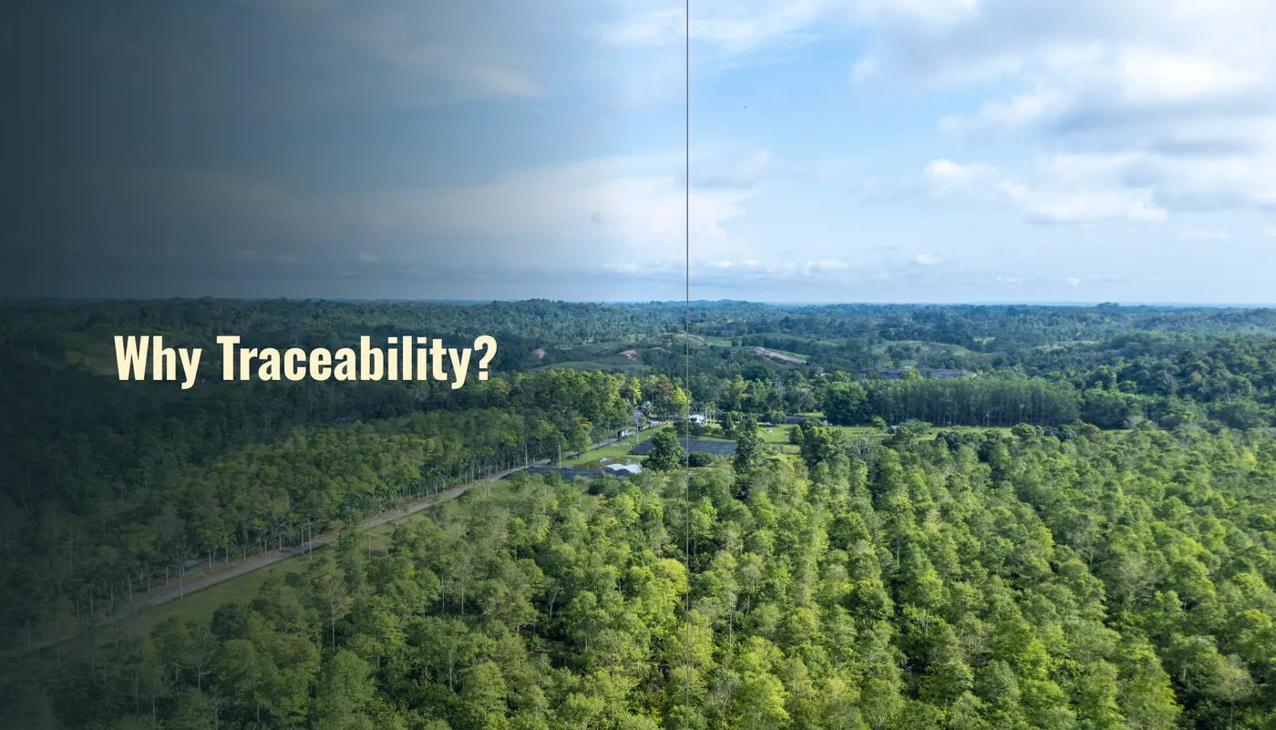 IMage shows a cocoa forest with the slogan; Why Traceability