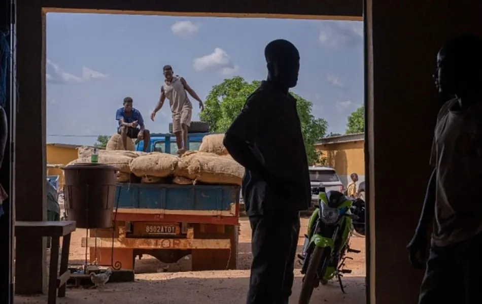 Image shows sacks of cocoa beans being loaded into a lorry in Ghana.
