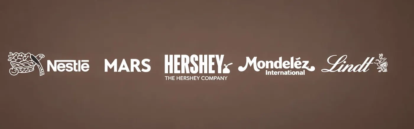 EXCLUSIVE: TogetherCocoa: Rescue Mission for Farmers — or a Cocoa ‘Super League’?