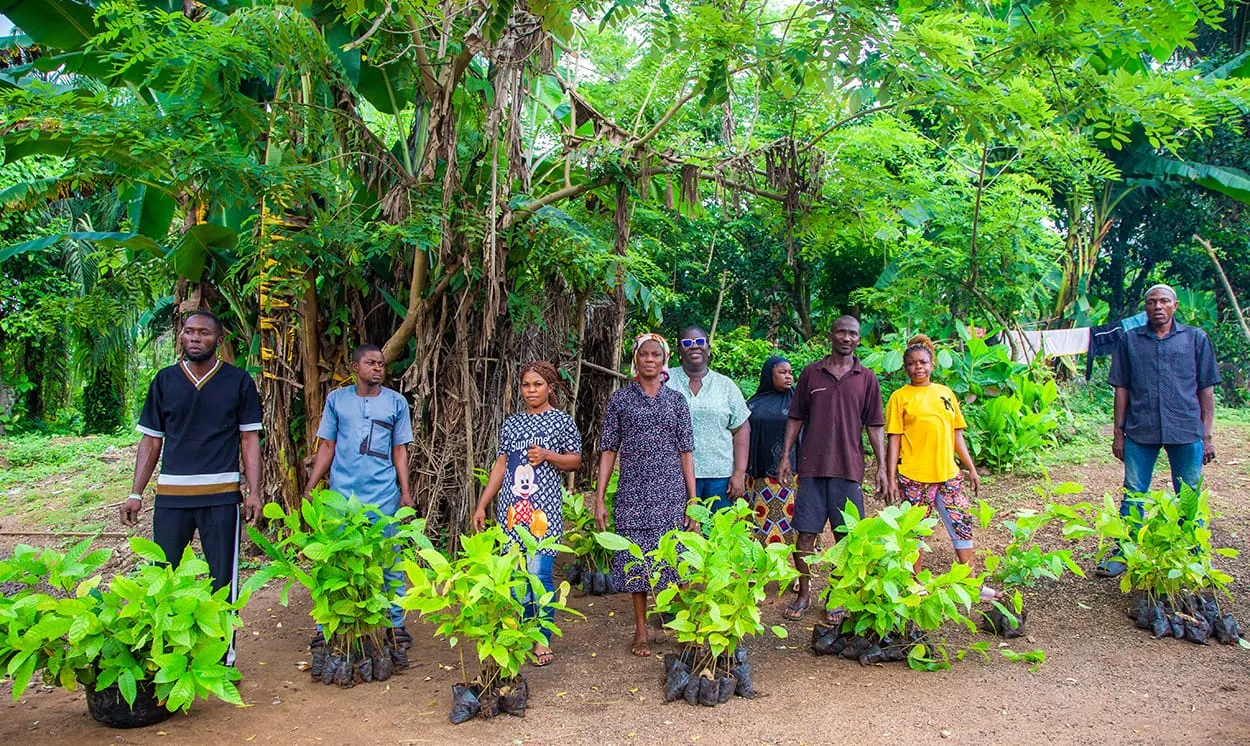 Image shows Farmers from Sunbeth’s farmer training session receiving new seedlings for their plots.
