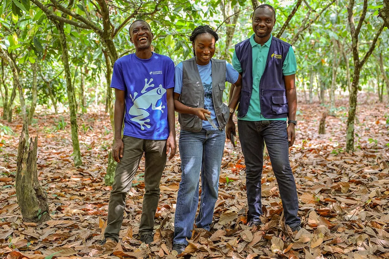 Image shows Team members from Rainforest Alliance visiting a cocoa farm in Ghana