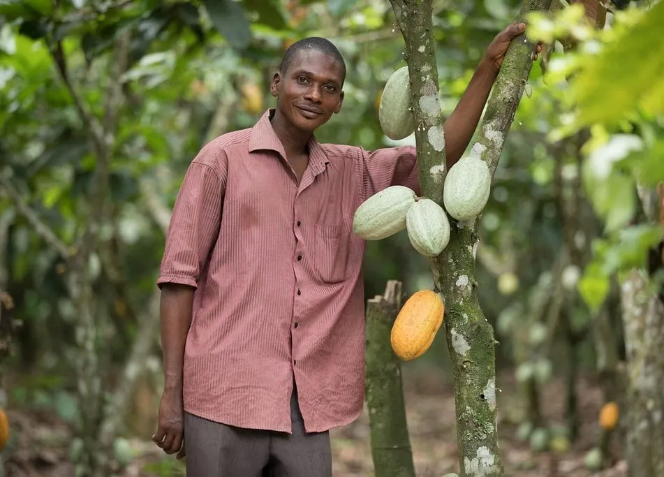 Image shows a cocoa farmer in West Africa standing by a tree.