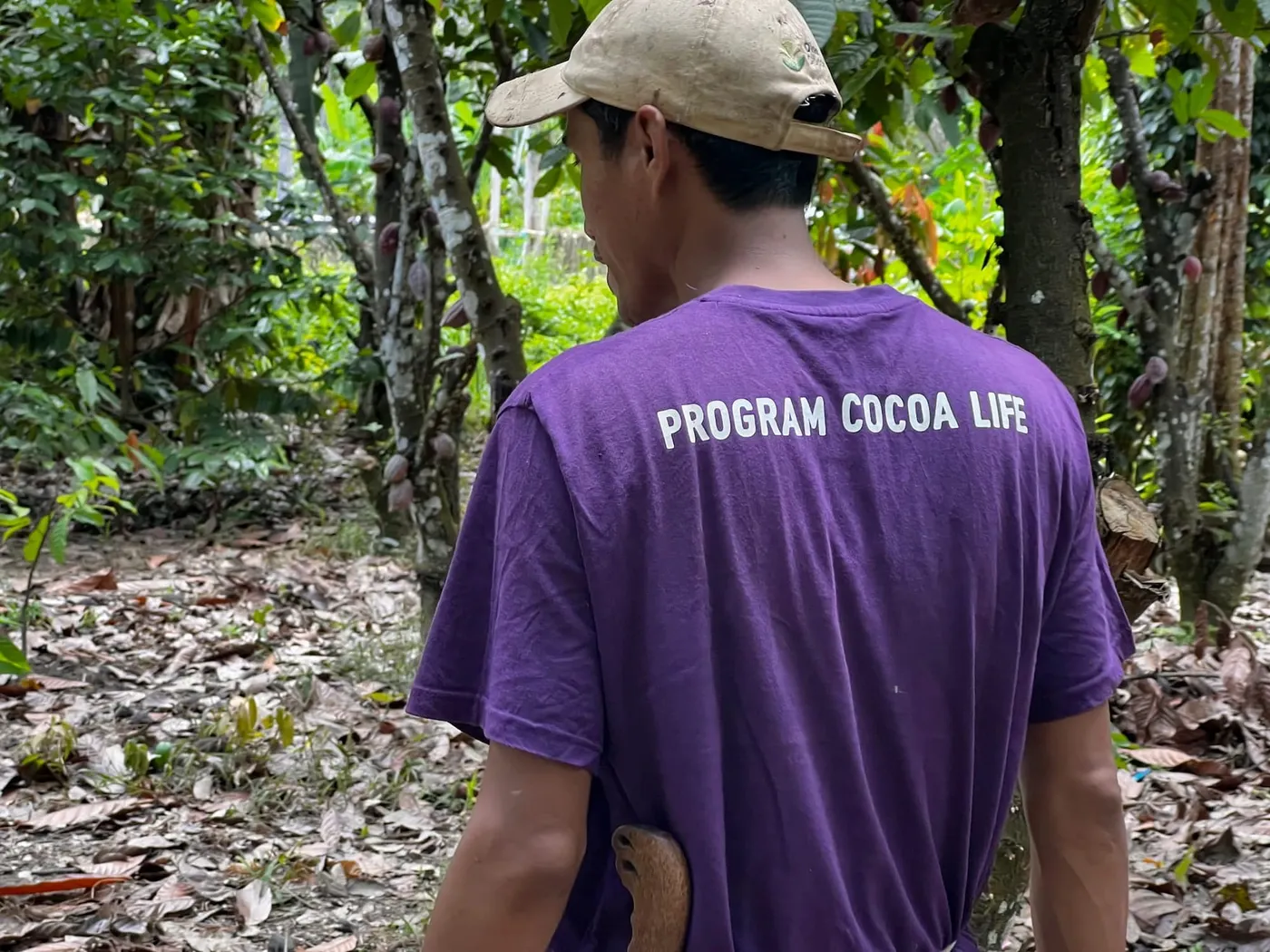 Image shows a cocoa farmer wearing  a Cocoa Life T-shirt.
