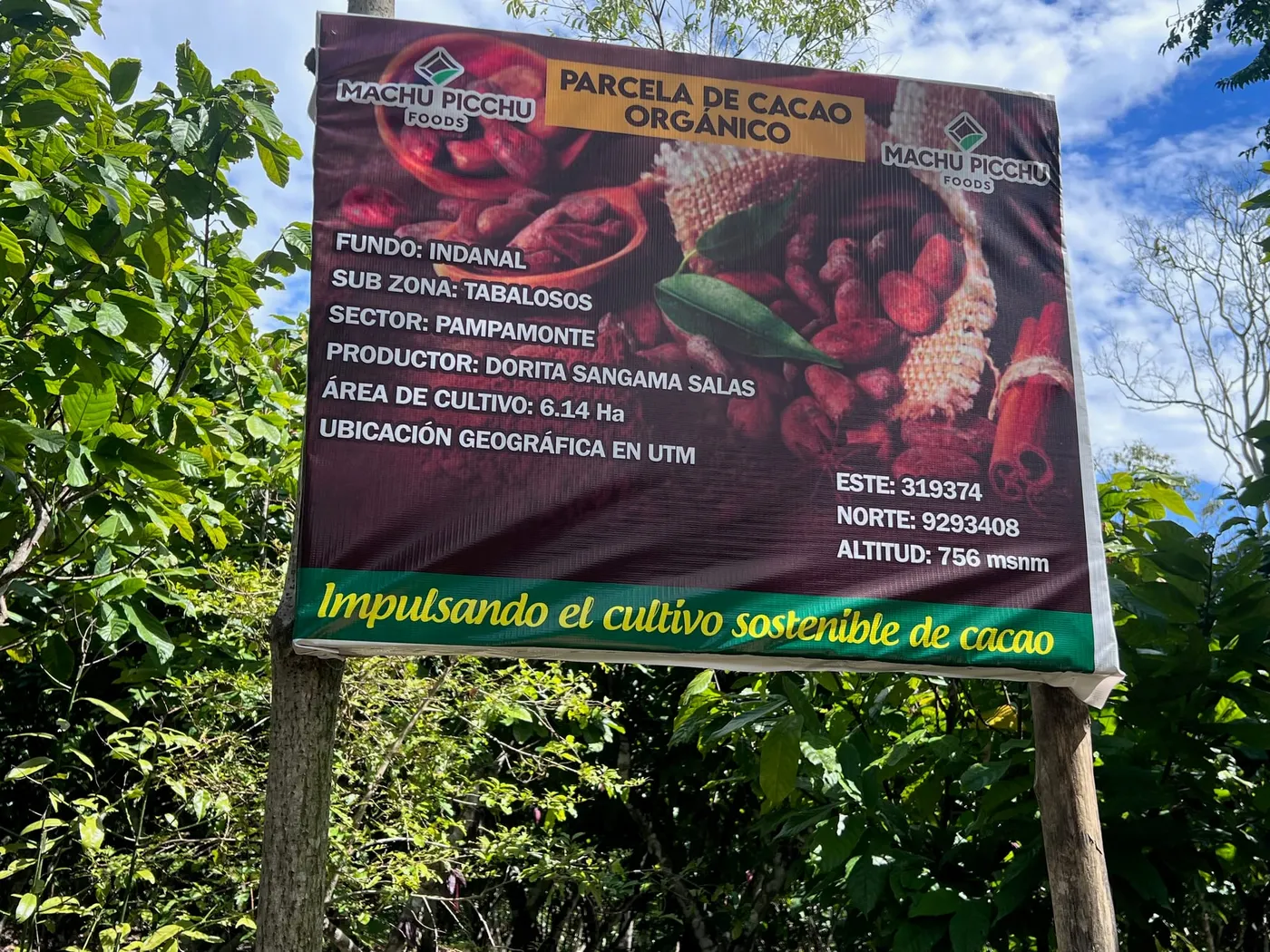 From Dorita’s Farm to the First Handover: Following Cacao Through San Martín