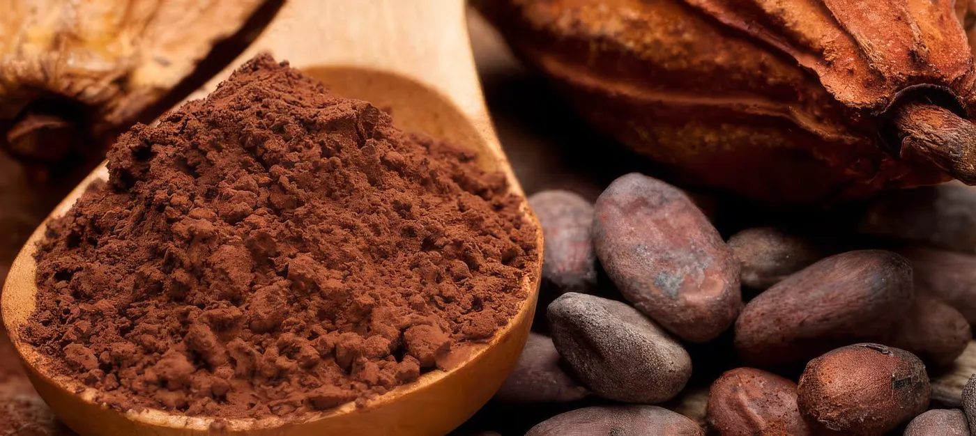 Image shows a bowl of Peruvian cocoa powder and beans,