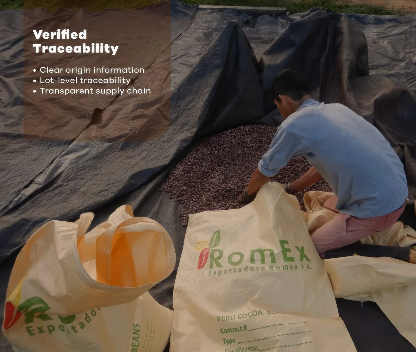 Image shows a worker packing beans into Romext sack for export.