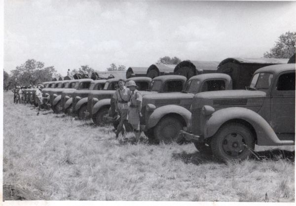 After triage and stabilizing the Italian casualties, the convoy of ambulances transported the patients 300 miles away to base camp, returning with much needed supplies, November, 1941. 