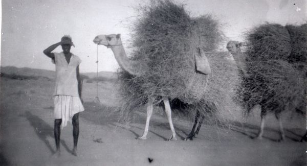 The Climb to Asmara