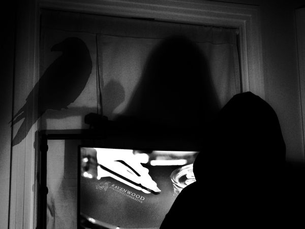 A shadowy figure hunches over a computer as if examining the internals of a hard drive while the shadow of a raven stands watch.