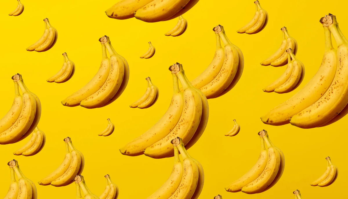 nano banana Proとnano banana 2の違い｜料金・使い方・選び方【2026年最新】