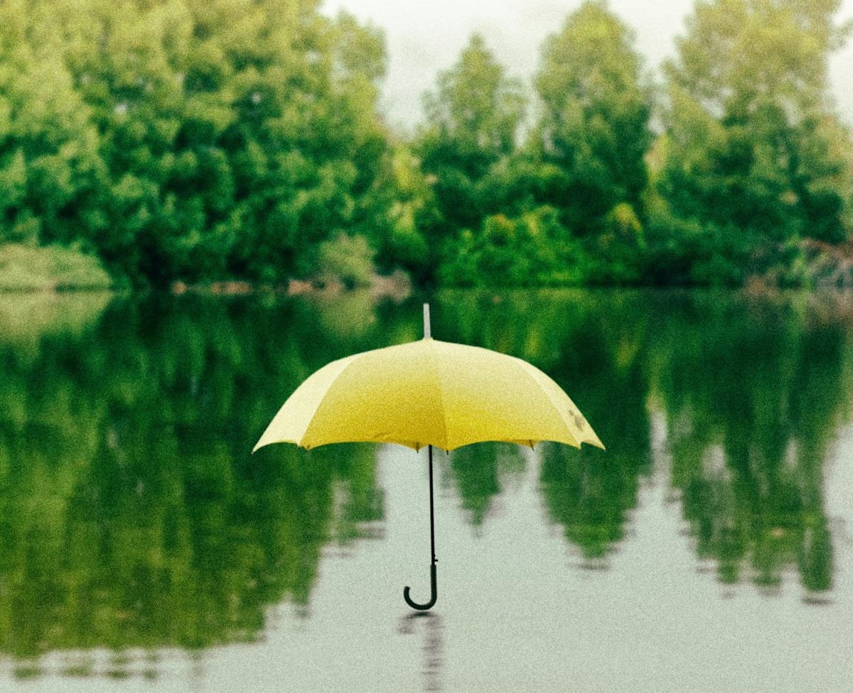 The Insurer of State