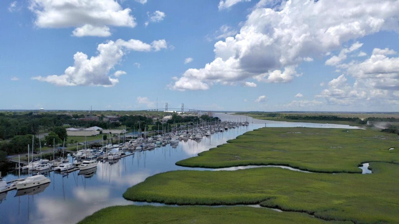 Chores, Hot Dogs, and Sharks: Another Week in Brunswick, Georgia