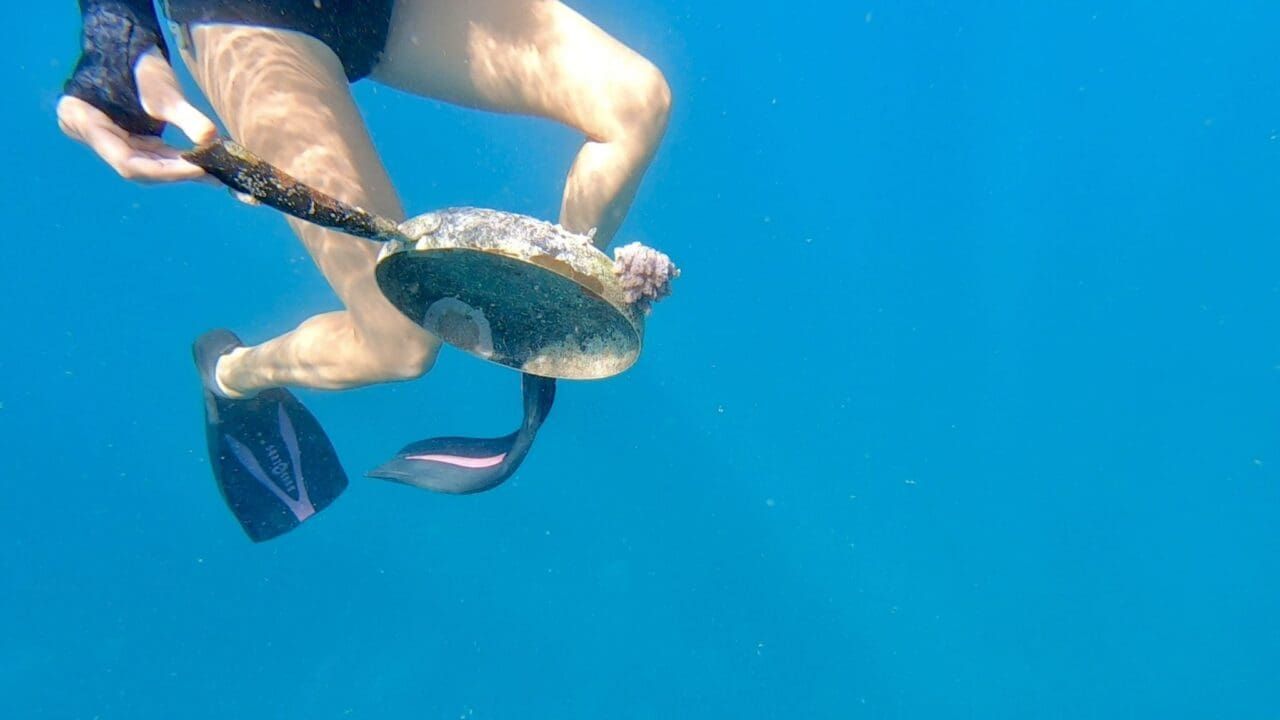 Snorkeling Adventures, Boat Projects, and Fun with Friends