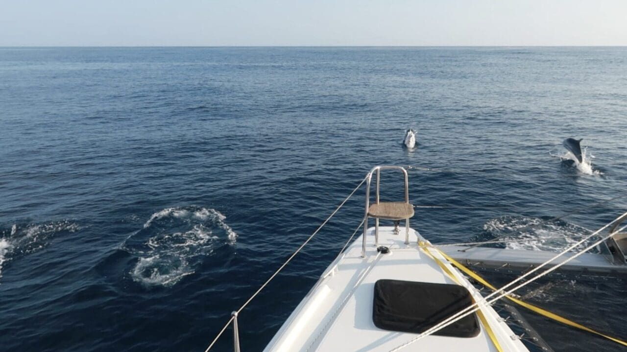 Pacific Crossing Day 3: Finding the Silver Lining
