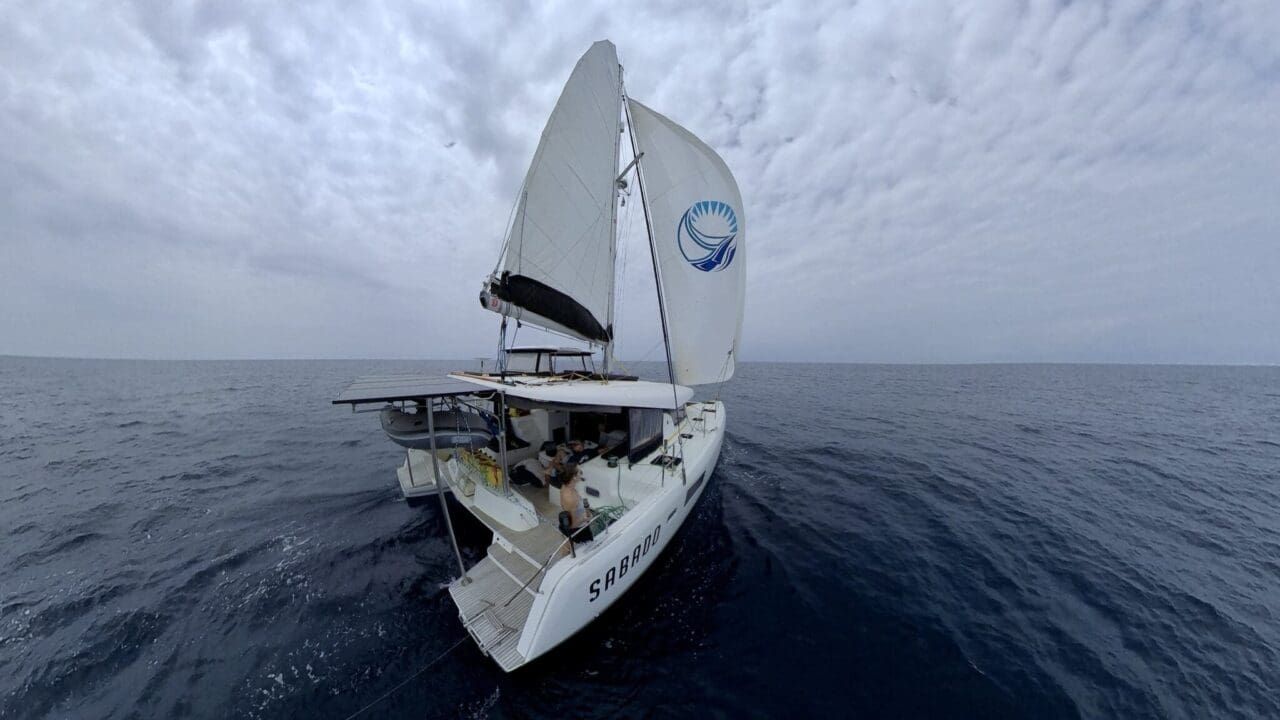 Pacific Crossing Day 4: Searching for Wind