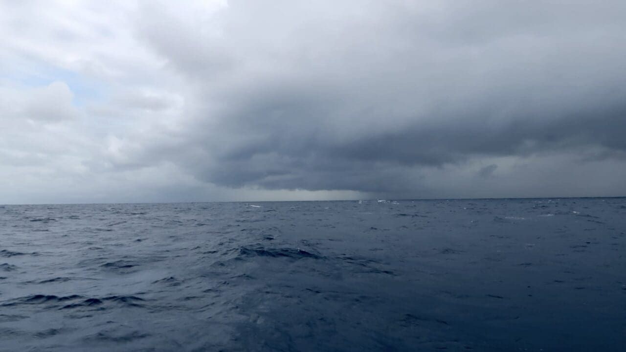 Pacific Crossing Day 20: Loving Every Minute