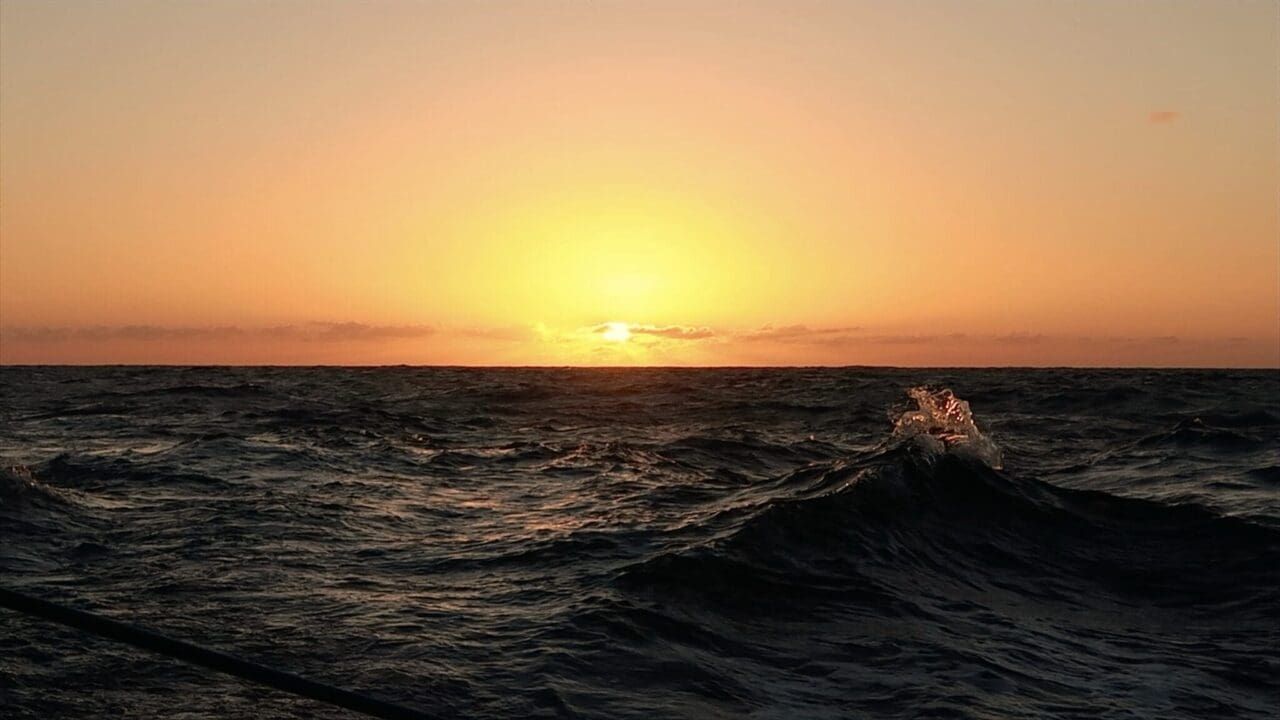 Pacific Crossing Day 23: Less than a week from land…