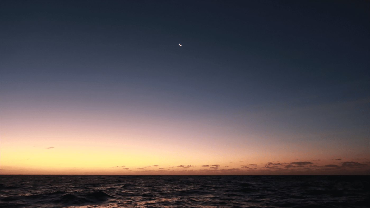 Pacific Crossing Day 27: Horizon Gazing