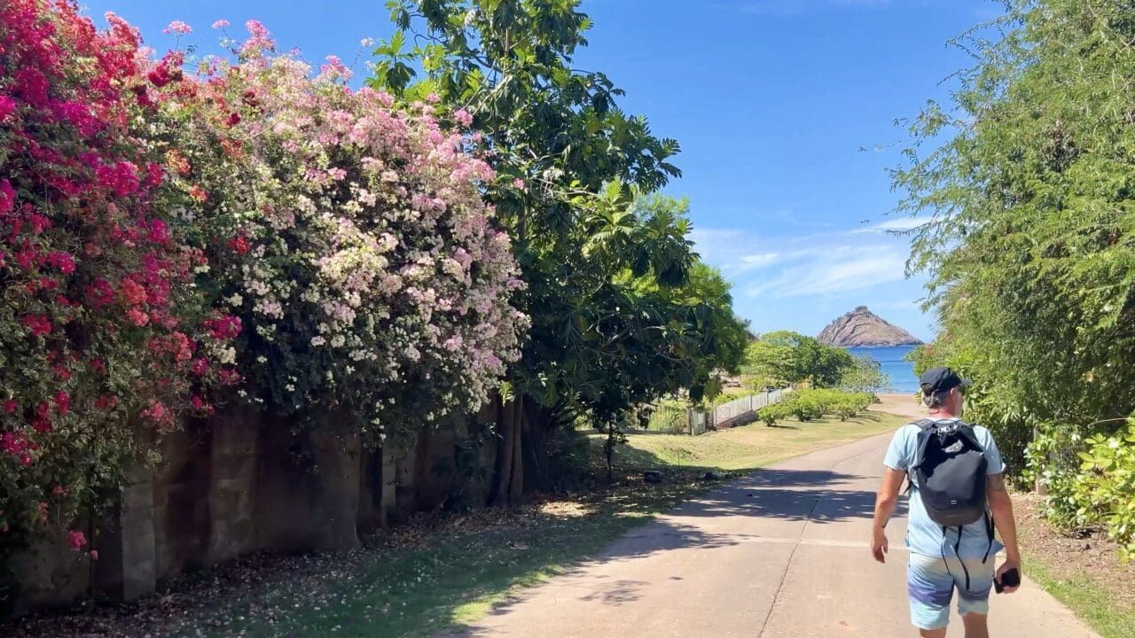 Island Life: Exploring and Searching for Parts